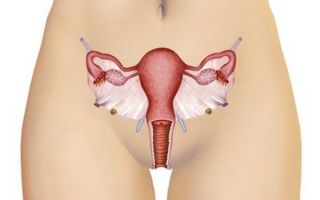 Эндометриоидная киста яичника: когда лечение без операции актуально